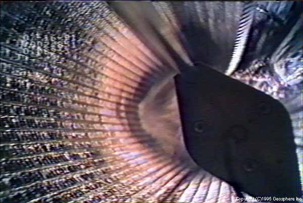 Video still showing water 
	pouring through large hole in well screen